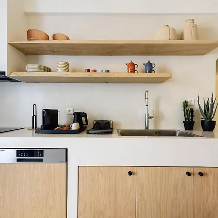 Vammos Luxury Residences נאוסה