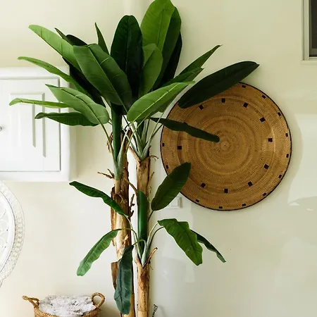 Vammos Luxury Residences דירה *