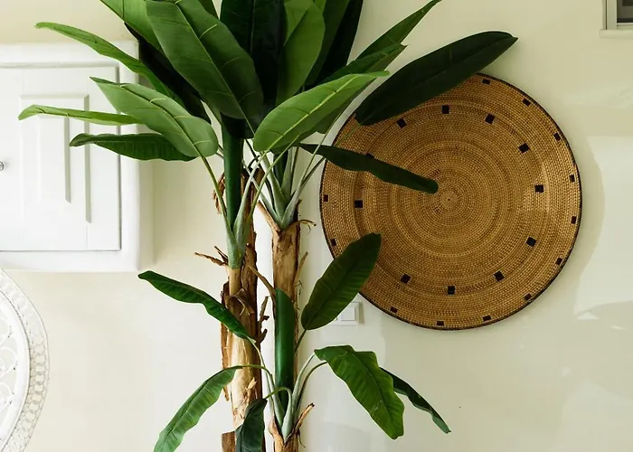 Vammos Luxury Residences Apartman *